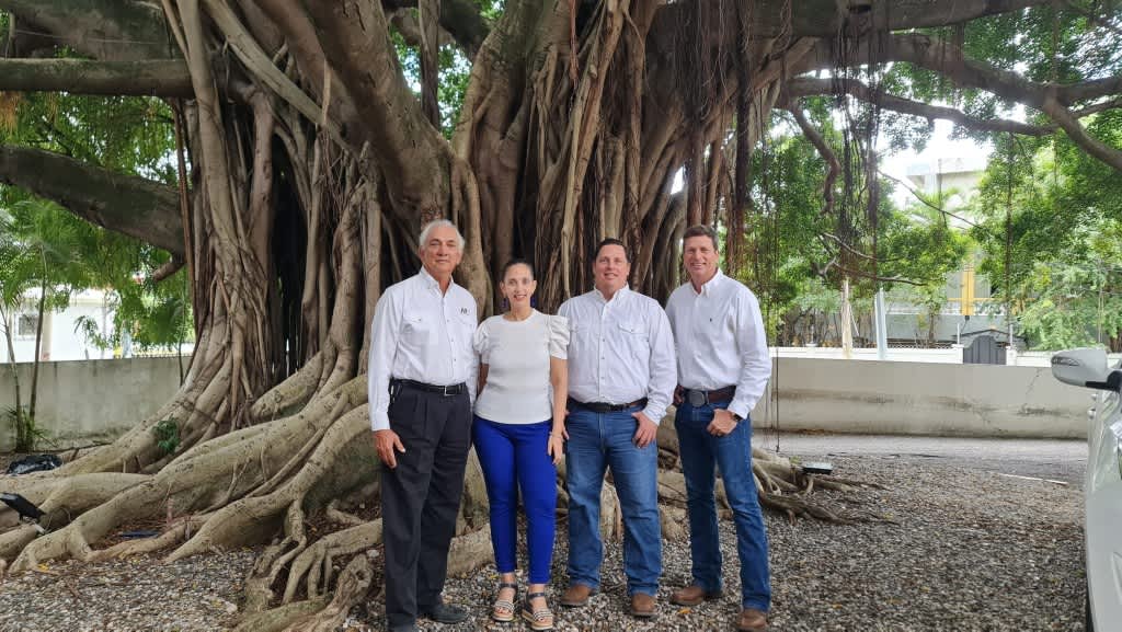 El equipo del Grupo De Moya Simó